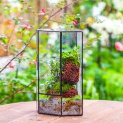 Handmade Close Geometric Tin Glass Corner Terrarium With Door, For Corner, Shelf -Terrarium Plant Hub IMG 7134 2