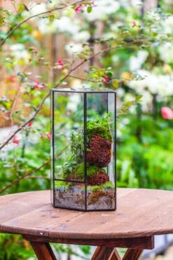 Handmade Close Geometric Tin Glass Corner Terrarium With Door, For Corner, Shelf -Terrarium Plant Hub IMG 7134