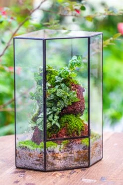 Handmade Close Geometric Tin Glass Corner Terrarium With Door, For Corner, Shelf -Terrarium Plant Hub IMG 7135