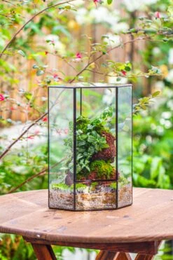 Handmade Close Geometric Tin Glass Corner Terrarium With Door, For Corner, Shelf -Terrarium Plant Hub IMG 7137