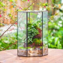 Handmade Close Geometric Tin Glass Corner Terrarium With Door, For Corner, Shelf -Terrarium Plant Hub IMG 7137 2 8076956c b784 4deb b71a 04792f6780db