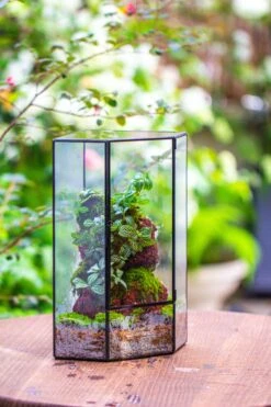 Handmade Close Geometric Tin Glass Corner Terrarium With Door, For Corner, Shelf -Terrarium Plant Hub IMG 7138