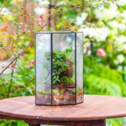 Handmade Close Geometric Tin Glass Corner Terrarium With Door, For Corner, Shelf -Terrarium Plant Hub IMG 7139 2
