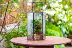 Handmade Close Geometric Tin Glass Corner Terrarium With Door, For Corner, Shelf -Terrarium Plant Hub IMG 7139