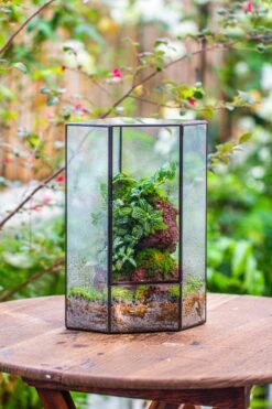 Handmade Close Geometric Tin Glass Corner Terrarium With Door, For Corner, Shelf -Terrarium Plant Hub IMG 7140