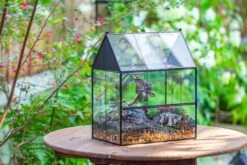 Large Vintage House Shape Insect Terrarium With Vent For Tarantulas, Mantis, Stick Insects -13" -Terrarium Plant Hub IMG 7151