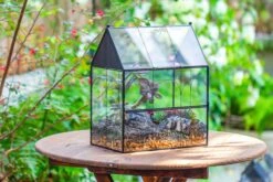 Large Vintage House Shape Insect Terrarium With Vent For Tarantulas, Mantis, Stick Insects -13" -Terrarium Plant Hub IMG 7152