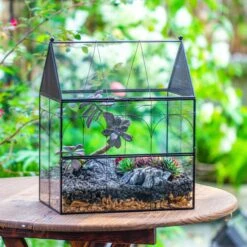 Large Vintage House Shape Insect Terrarium With Vent For Tarantulas, Mantis, Stick Insects -13" -Terrarium Plant Hub IMG 7156 2