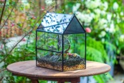 Large Vintage House Shape Insect Terrarium With Vent For Tarantulas, Mantis, Stick Insects -13" -Terrarium Plant Hub IMG 7157