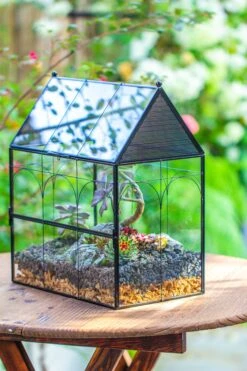 Large Vintage House Shape Insect Terrarium With Vent For Tarantulas, Mantis, Stick Insects -13" -Terrarium Plant Hub IMG 7158