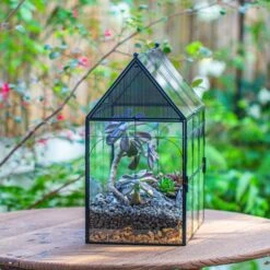 Large Vintage House Shape Insect Terrarium With Vent For Tarantulas, Mantis, Stick Insects -13" -Terrarium Plant Hub IMG 7160 2