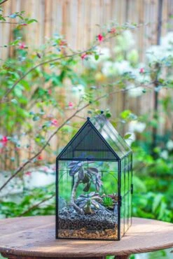 Large Vintage House Shape Insect Terrarium With Vent For Tarantulas, Mantis, Stick Insects -13" -Terrarium Plant Hub IMG 7160