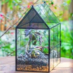 Large Vintage House Shape Insect Terrarium With Vent For Tarantulas, Mantis, Stick Insects -13" -Terrarium Plant Hub IMG 7161 2