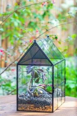 Large Vintage House Shape Insect Terrarium With Vent For Tarantulas, Mantis, Stick Insects -13" -Terrarium Plant Hub IMG 7161