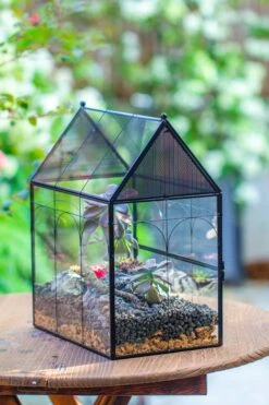 Large Vintage House Shape Insect Terrarium With Vent For Tarantulas, Mantis, Stick Insects -13" -Terrarium Plant Hub IMG 7172