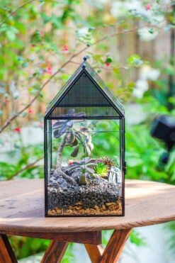 Large Vintage House Shape Insect Terrarium With Vent For Tarantulas, Mantis, Stick Insects -13" -Terrarium Plant Hub IMG 7173