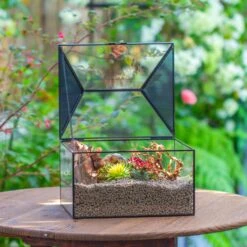 Handmade Medium House Shape Terrarium Enclosure With Mesh Vent For Insects, Terrarium Only -Terrarium Plant Hub IMG 7181 2