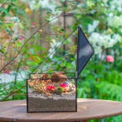 Handmade Medium House Shape Terrarium Enclosure With Mesh Vent For Insects, Terrarium Only -Terrarium Plant Hub IMG 7184 2