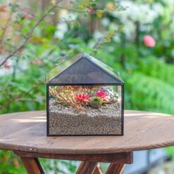 Handmade Medium House Shape Terrarium Enclosure With Mesh Vent For Insects, Terrarium Only -Terrarium Plant Hub IMG 7187 2