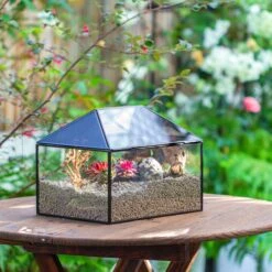 Handmade Medium House Shape Terrarium Enclosure With Mesh Vent For Insects, Terrarium Only -Terrarium Plant Hub IMG 7190 eba1f456 db37 4066 ab19 bc01167b94c0