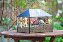 Handmade Medium House Shape Terrarium Enclosure With Mesh Vent For Insects, Terrarium Only -Terrarium Plant Hub IMG 7192 29b71cb1 e5d3 420e b21e e691c8f4ddda