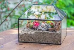 Handmade Medium House Shape Terrarium Enclosure With Mesh Vent For Insects, Terrarium Only -Terrarium Plant Hub IMG 7193 dbad56ab 11ab 41c4 8bd2 e25effa6d60b