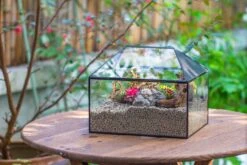 Handmade Medium House Shape Terrarium Enclosure With Mesh Vent For Insects, Terrarium Only -Terrarium Plant Hub IMG 7194 737dd074 2e5a 4c05 bb82 409f58753d10