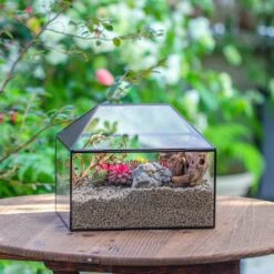 Handmade Medium House Shape Terrarium Enclosure With Mesh Vent For Insects, Terrarium Only -Terrarium Plant Hub IMG 7195 8469e00a ef17 43b2 a3c3 b14dbf8a00f5
