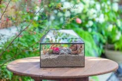 Handmade Medium House Shape Terrarium Enclosure With Mesh Vent For Insects, Terrarium Only -Terrarium Plant Hub IMG 7196