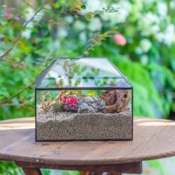 Handmade Medium House Shape Terrarium Enclosure With Mesh Vent For Insects, Terrarium Only -Terrarium Plant Hub IMG 7197 d13fb9dd a2f8 4894 a031 b56412465e39