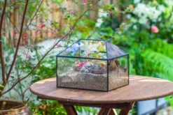 Handmade Medium House Shape Terrarium Enclosure With Mesh Vent For Insects, Terrarium Only -Terrarium Plant Hub IMG 7200 e09b0914 bb63 400b 92d7 afc29900653e