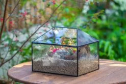 Handmade Medium House Shape Terrarium Enclosure With Mesh Vent For Insects, Terrarium Only -Terrarium Plant Hub IMG 7201 c114637f f047 44de 8719 4720c8f96af7