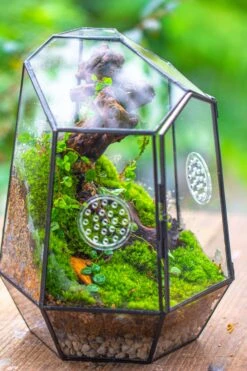 NCYP Close Geometric Tin Glass Terrarium With Door, Vent, Insect Bug Terrarium -Terrarium Plant Hub IMG 7276 dad43351 95a9 4bd5 a872 14802d327efc