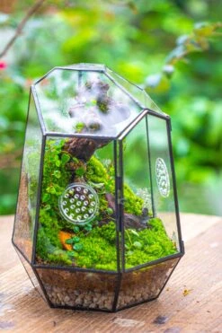 NCYP Close Geometric Tin Glass Terrarium With Door, Vent, Insect Bug Terrarium -Terrarium Plant Hub IMG 7277