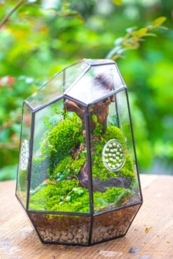 NCYP Close Geometric Tin Glass Terrarium With Door, Vent, Insect Bug Terrarium -Terrarium Plant Hub IMG 7282