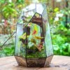 16.1" Large Irregular Geometric Glass Terrarium, Close, Tin Soldered, For Moss, Tropical Plants, Micro Landscape -Terrarium Plant Hub IMG 7284 1 215fcaee 220e 441d 81b2 cc36db4f7a83