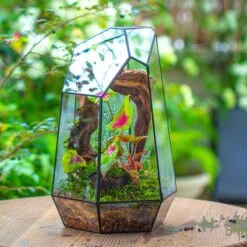 16.1" Large Irregular Geometric Glass Terrarium, Close, Tin Soldered, For Moss, Tropical Plants, Micro Landscape 28 16.1" Large Irregular Geometric Glass Terrarium, Close, Tin Soldered, For Moss, Tropical Plants, Micro Landscape -Terrarium Plant Hub IMG 7294 1 65246d55 b2e8 4764 8c64 1c99efe13441