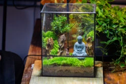 Close Geometric Glass Tin Terrarium Building DIY Set , 8x10" And Buddha, Rock, Micro Landscape Moss Terrarium Building DIY Set No Plants, Customizable -Terrarium Plant Hub IMG 7303