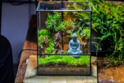 Close Geometric Glass Tin Terrarium Building DIY Set , 8x10" And Buddha, Rock, Micro Landscape Moss Terrarium Building DIY Set No Plants, Customizable -Terrarium Plant Hub IMG 7304
