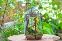 16.1" Large Irregular Geometric Glass Terrarium, Close, Tin Soldered, For Moss, Tropical Plants, Micro Landscape 30 16.1" Large Irregular Geometric Glass Terrarium, Close, Tin Soldered, For Moss, Tropical Plants, Micro Landscape -Terrarium Plant Hub IMG 7304 794a56a2 8bde 4c88 8e07 ce49a4bba8b8