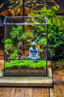 Close Geometric Glass Tin Terrarium Building DIY Set , 8x10" And Buddha, Rock, Micro Landscape Moss Terrarium Building DIY Set No Plants, Customizable -Terrarium Plant Hub IMG 7305