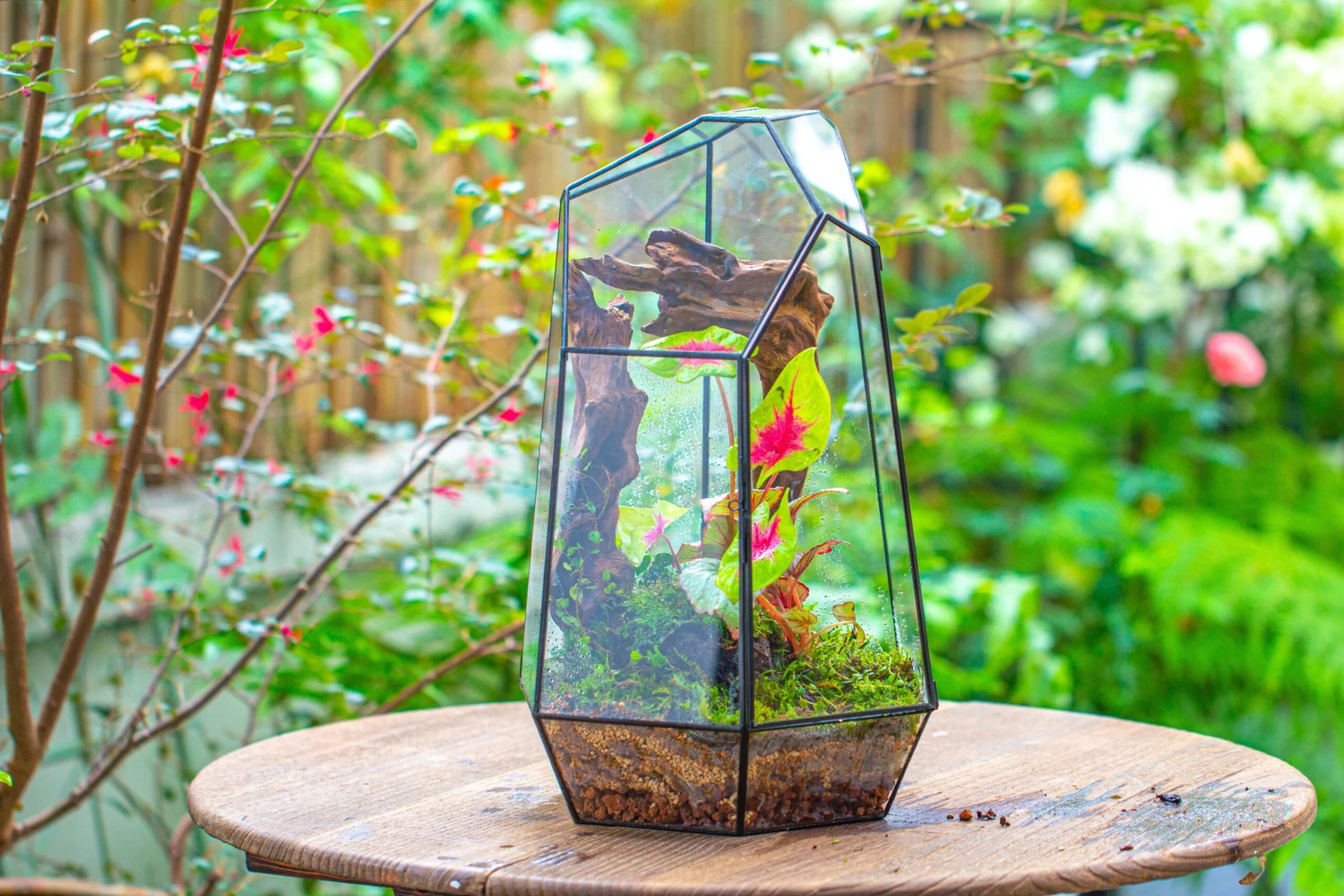 16.1" Large Irregular Geometric Glass Terrarium, Close, Tin Soldered, For Moss, Tropical Plants, Micro Landscape 15 16.1" Large Irregular Geometric Glass Terrarium, Close, Tin Soldered, For Moss, Tropical Plants, Micro Landscape - Image 13