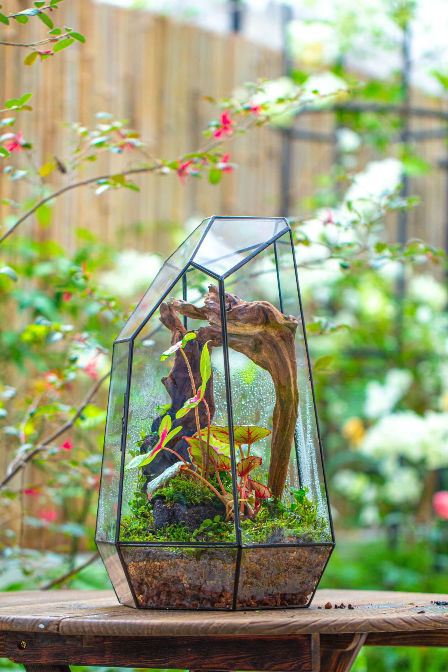 16.1" Large Irregular Geometric Glass Terrarium, Close, Tin Soldered, For Moss, Tropical Plants, Micro Landscape 13 16.1" Large Irregular Geometric Glass Terrarium, Close, Tin Soldered, For Moss, Tropical Plants, Micro Landscape - Image 11