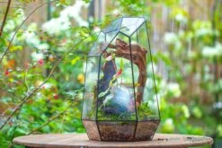 16.1" Large Irregular Geometric Glass Terrarium, Close, Tin Soldered, For Moss, Tropical Plants, Micro Landscape 31 16.1" Large Irregular Geometric Glass Terrarium, Close, Tin Soldered, For Moss, Tropical Plants, Micro Landscape -Terrarium Plant Hub IMG 7310 56ff10c9 ebae 4ace 91fa beff4707351f