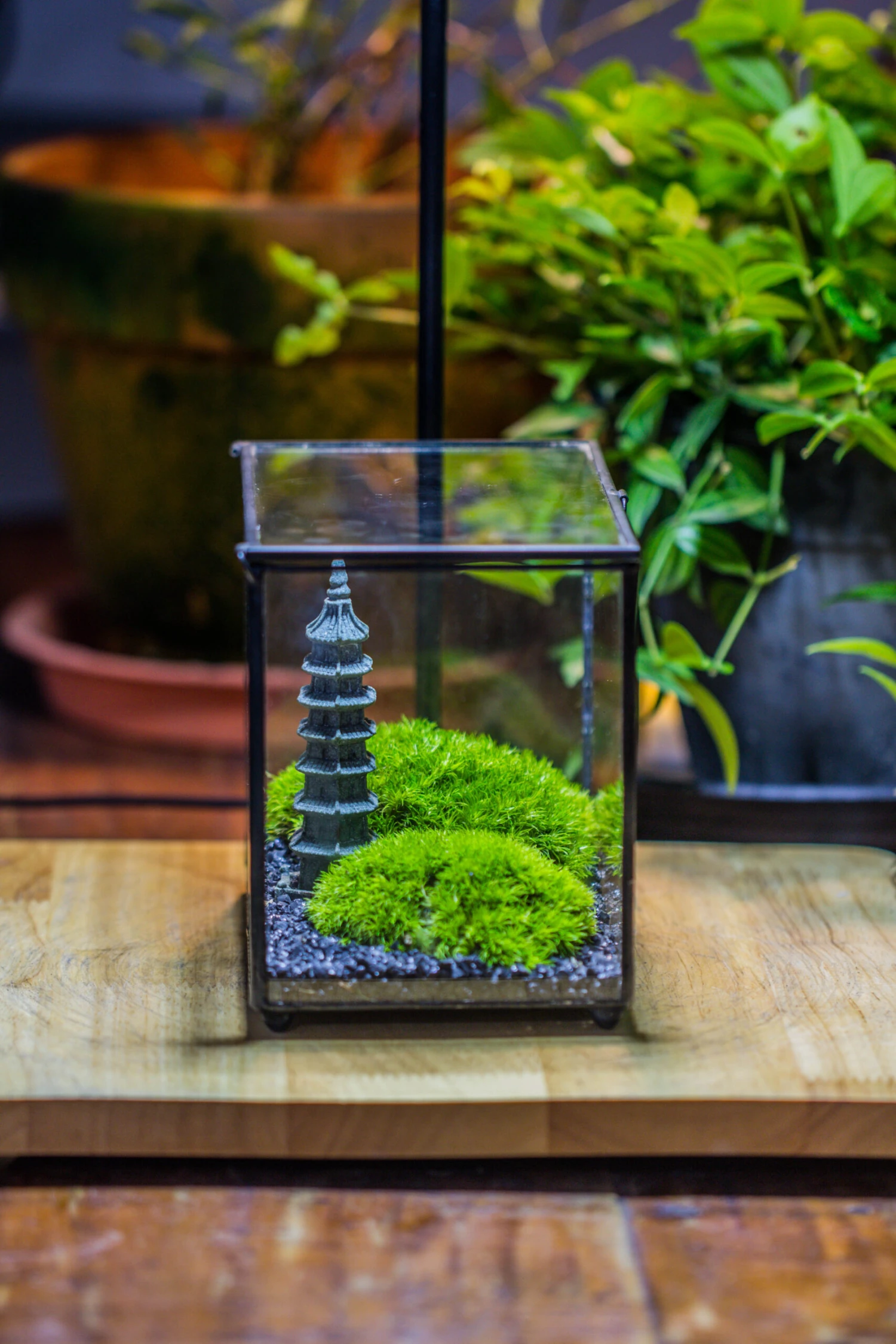 Preserved Moss Terrarium Miniature DIY Set, Japanese Zen Style, Preserved Leucobryum Moss And Pagoda, 17*10*12cm / 6.7 X 3.9 X 4.7" 20 Preserved Moss Terrarium Miniature DIY Set, Japanese Zen Style, Preserved Leucobryum Moss And Pagoda, 17*10*12cm / 6.7 X 3.9 X 4.7" - Image 18