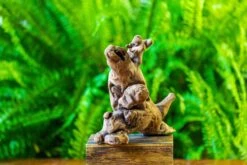 Driftwood For Moss Terrarium, Miniature, Micro Landscape, H022 -Terrarium Plant Hub IMG 7421