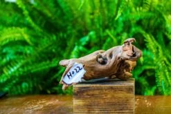 Driftwood For Moss Terrarium, Miniature, Micro Landscape, H022 -Terrarium Plant Hub IMG 7422