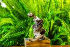 Driftwood For Moss Terrarium, Miniature, Micro Landscape, H019 -Terrarium Plant Hub IMG 7427