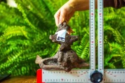 Driftwood For Moss Terrarium, Miniature, Micro Landscape, H019 -Terrarium Plant Hub IMG 7428