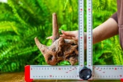 Driftwood For Moss Terrarium, Miniature, Micro Landscape, H015 -Terrarium Plant Hub IMG 7433